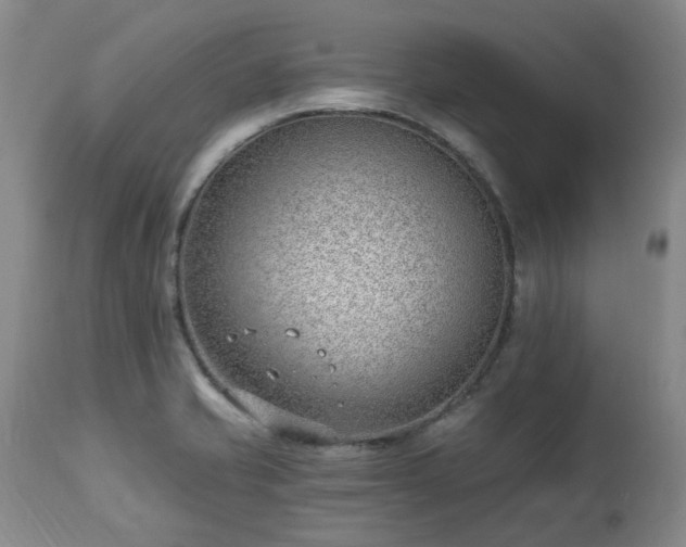 X0000112461421200908241247