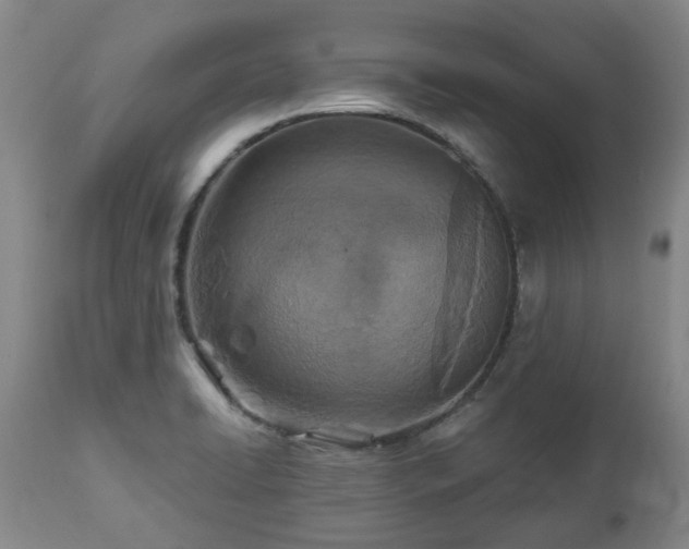 X0000112461422200908241247