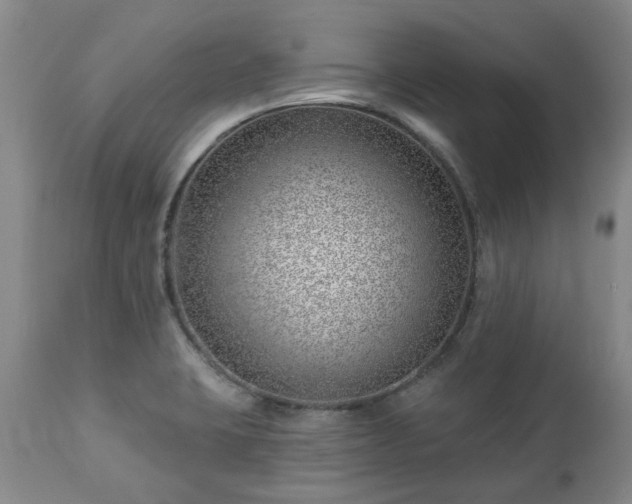 X0000112461423200908241247