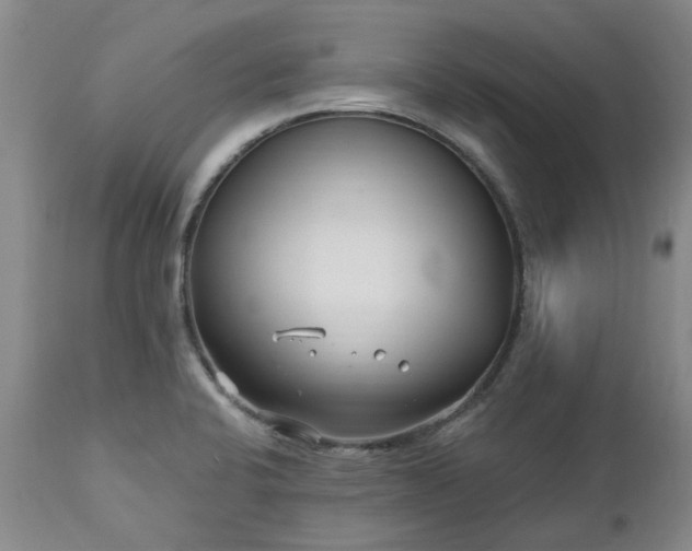 X0000112461424200908241247