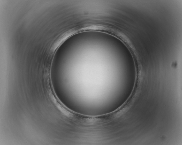 X0000112461425200908241247