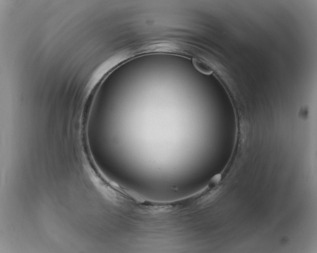 X0000112461426200908241247