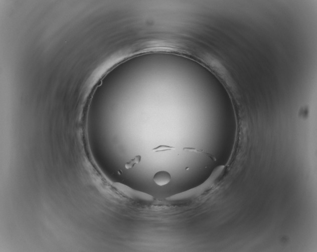 X0000112461427200908241247