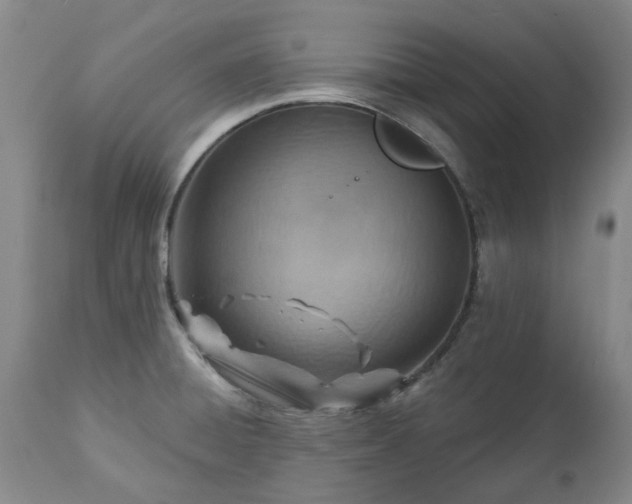 X0000112461428200908241247