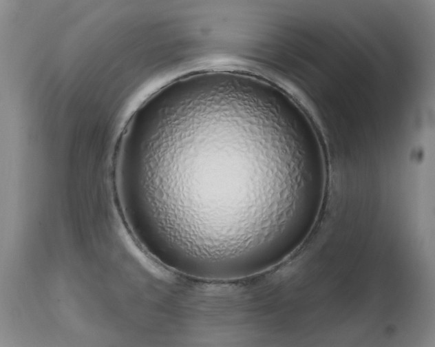 X0000112461429200908241247