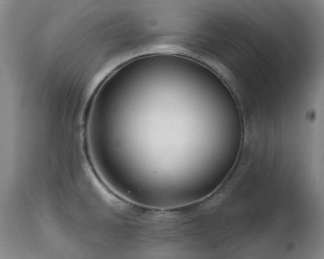 X0000112461430200908241247