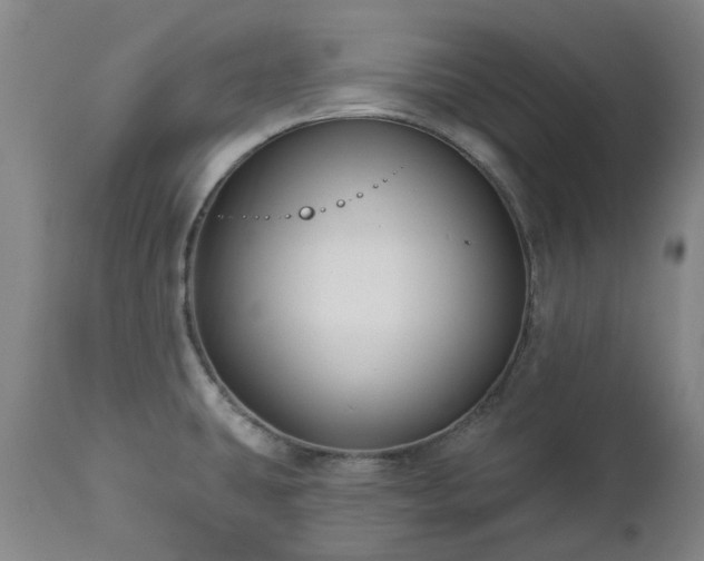 X0000112461431200908241247