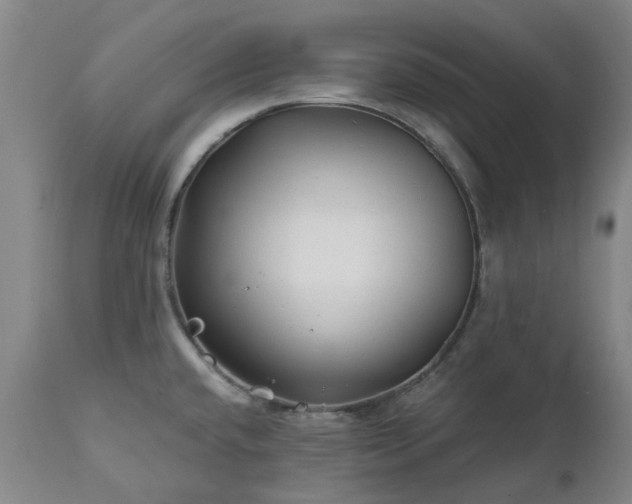 X0000112461432200908241247