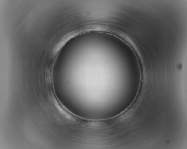 X0000112461433200908241247