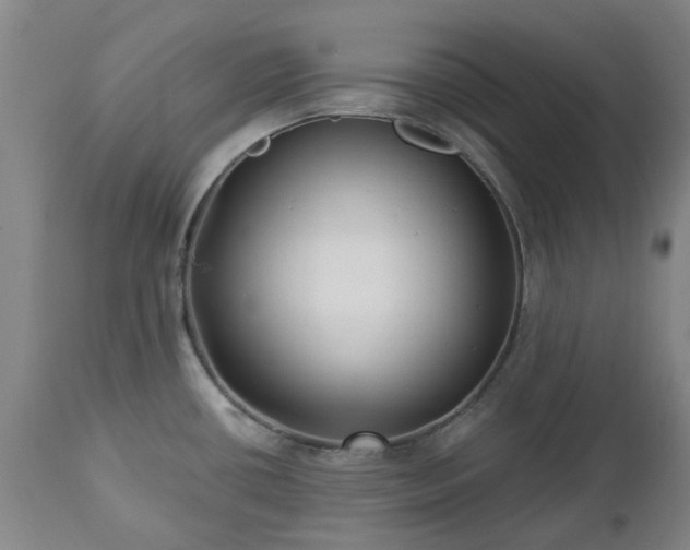 X0000112461434200908241247