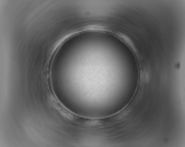 X0000112461435200908241247