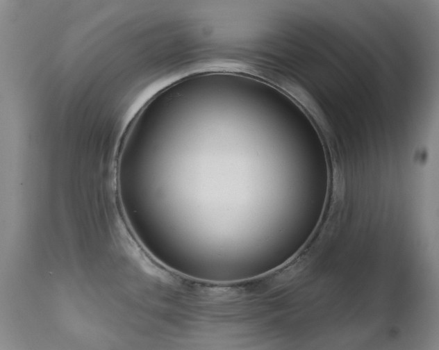 X0000112461436200908241247