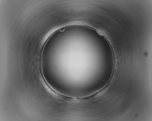 X0000112461438200908241247