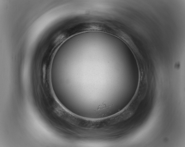 X0000112461439200908241247