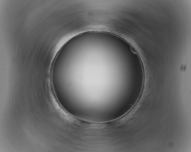 X0000112461440200908241247