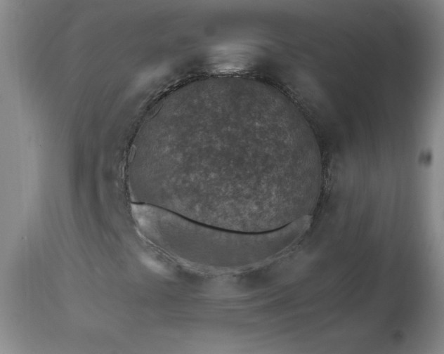 X0000112461441200908241246