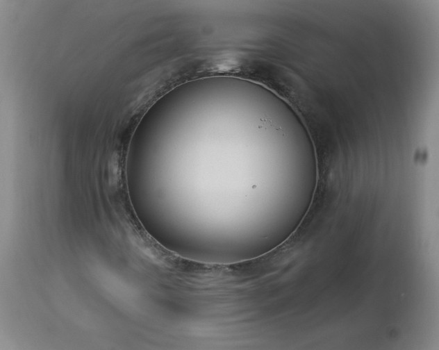 X0000112461442200908241246