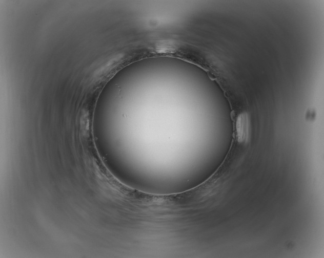 X0000112461443200908241246