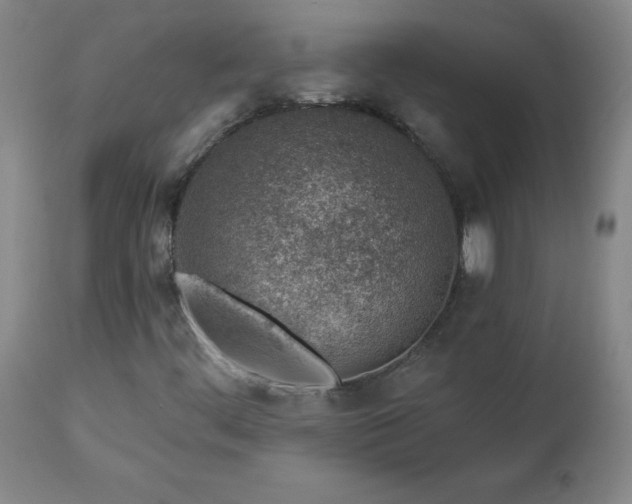 X0000112461444200908241246