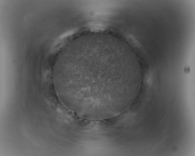 X0000112461445200908241246