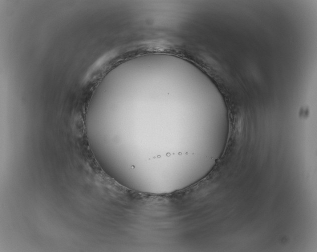 X0000112461446200908241246