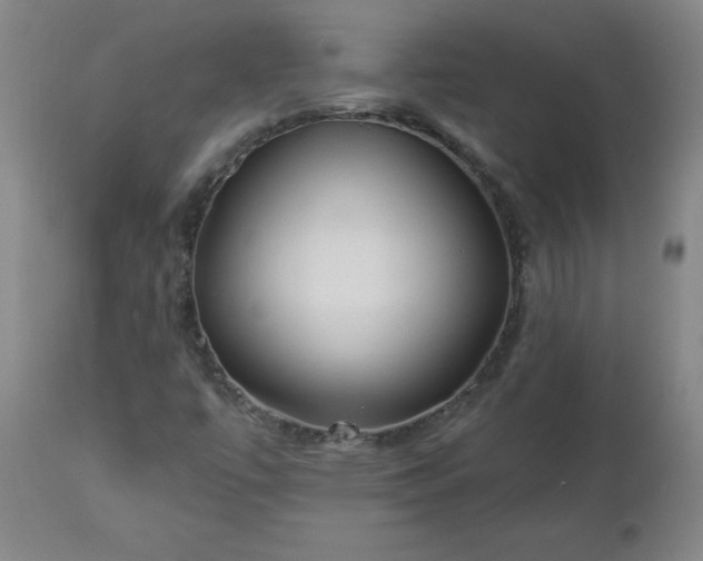 X0000112461447200908241246