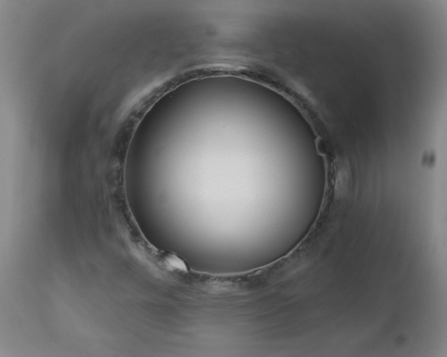 X0000112461448200908241246