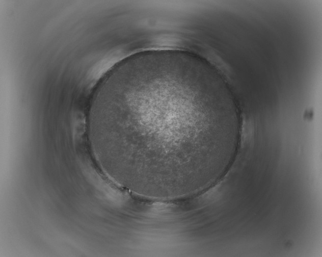 X0000112461449200908241246