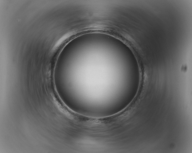 X0000112461450200908241246