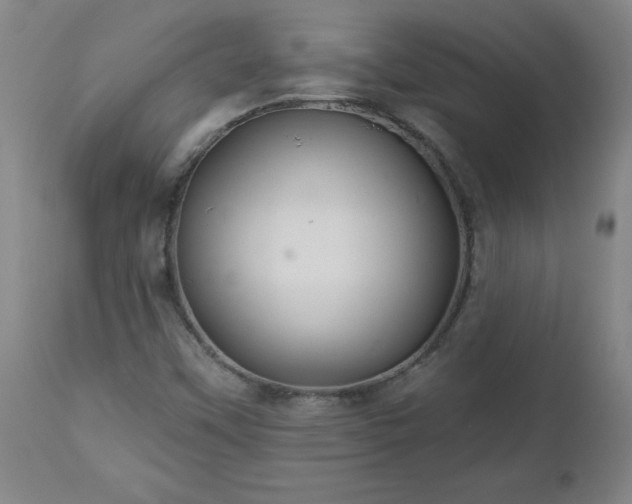 X0000112461451200908241246