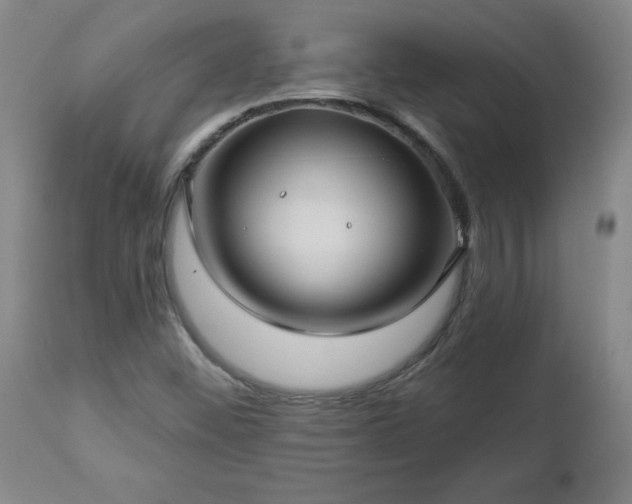 X0000112461452200908241246