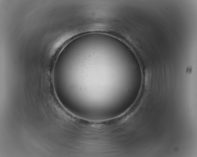 X0000112461453200908241246