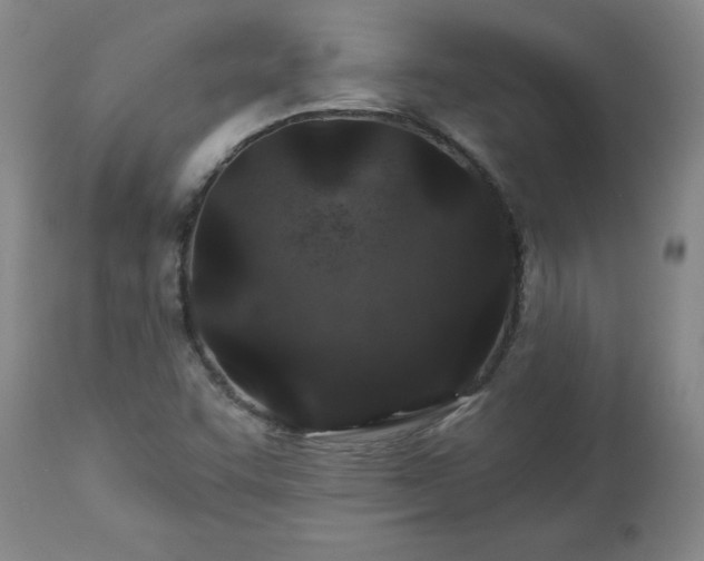 X0000112461455200908241246