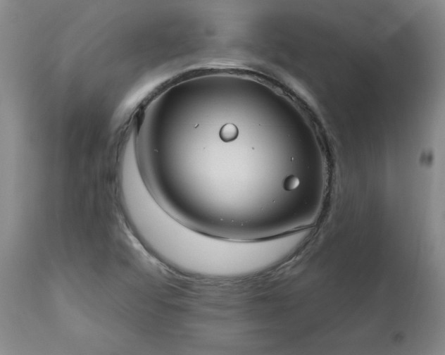 X0000112461456200908241246