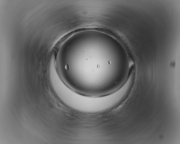 X0000112461457200908241246