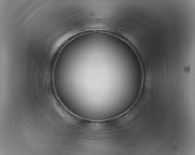 X0000112461458200908241246