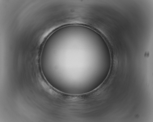 X0000112461460200908241246