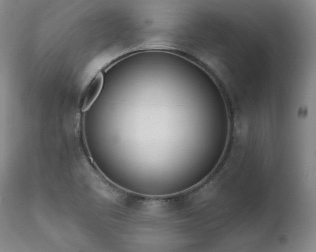 X0000112461461200908241246