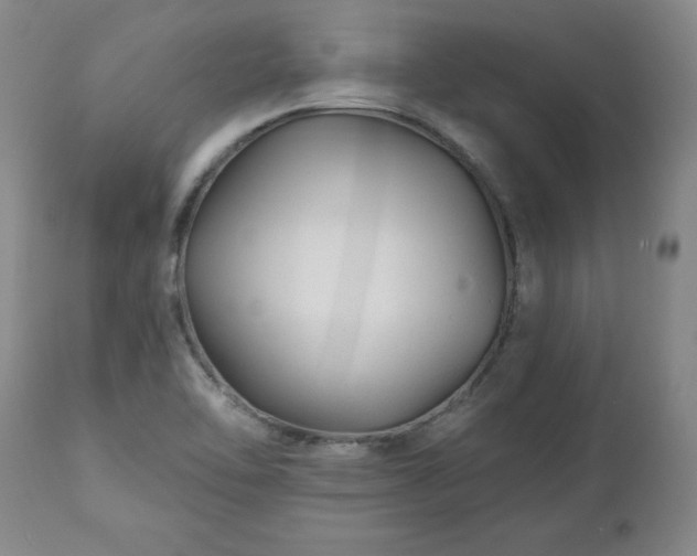 X0000112461462200908241246