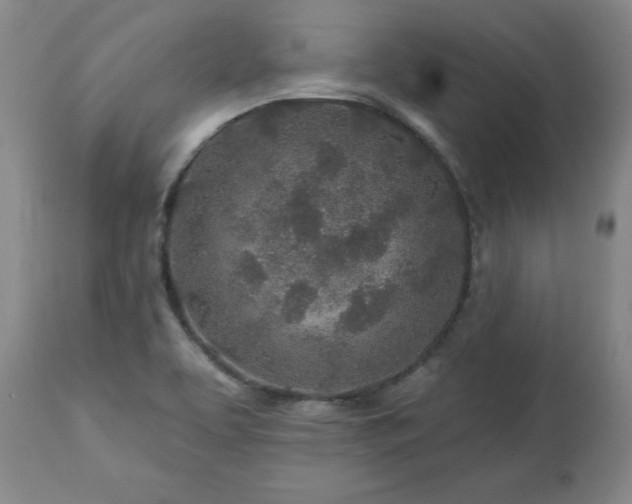 X0000112461463200908241246