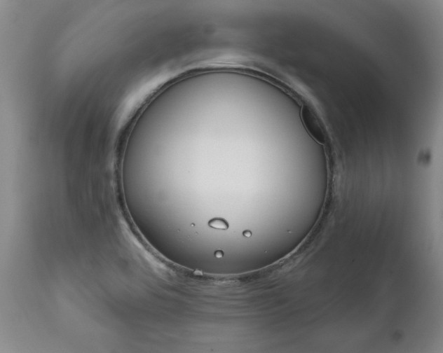 X0000112461464200908241246