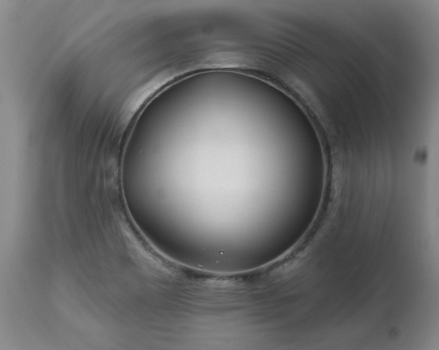 X0000112461465200908241246