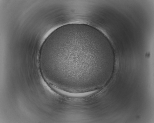 X0000112461468200908241246