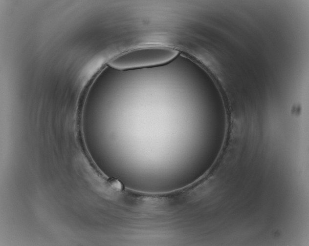 X0000112461469200908241246