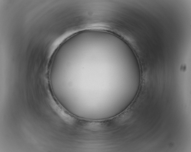 X0000112461470200908241246