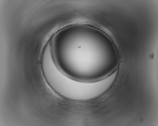 X0000112461472200908241246