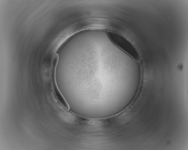 X0000112461473200908241246