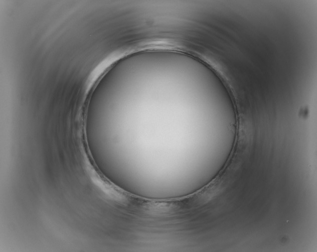 X0000112461474200908241246