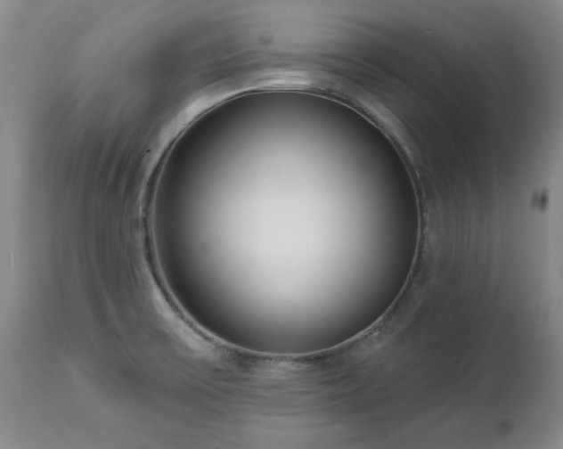 X0000112461475200908241246