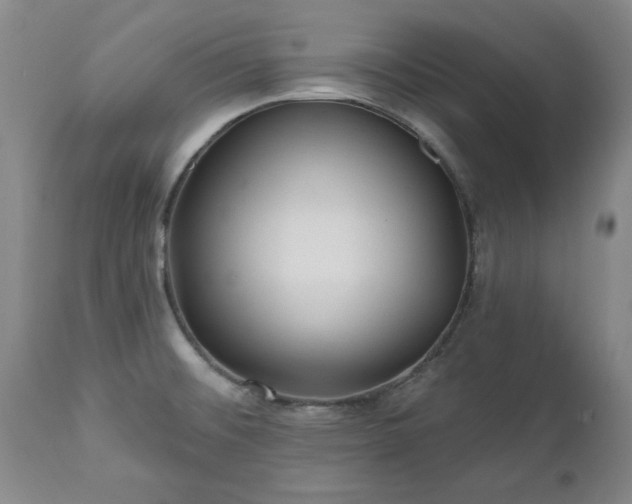 X0000112461476200908241246